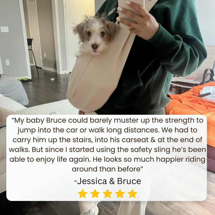 Dog Safety Sling