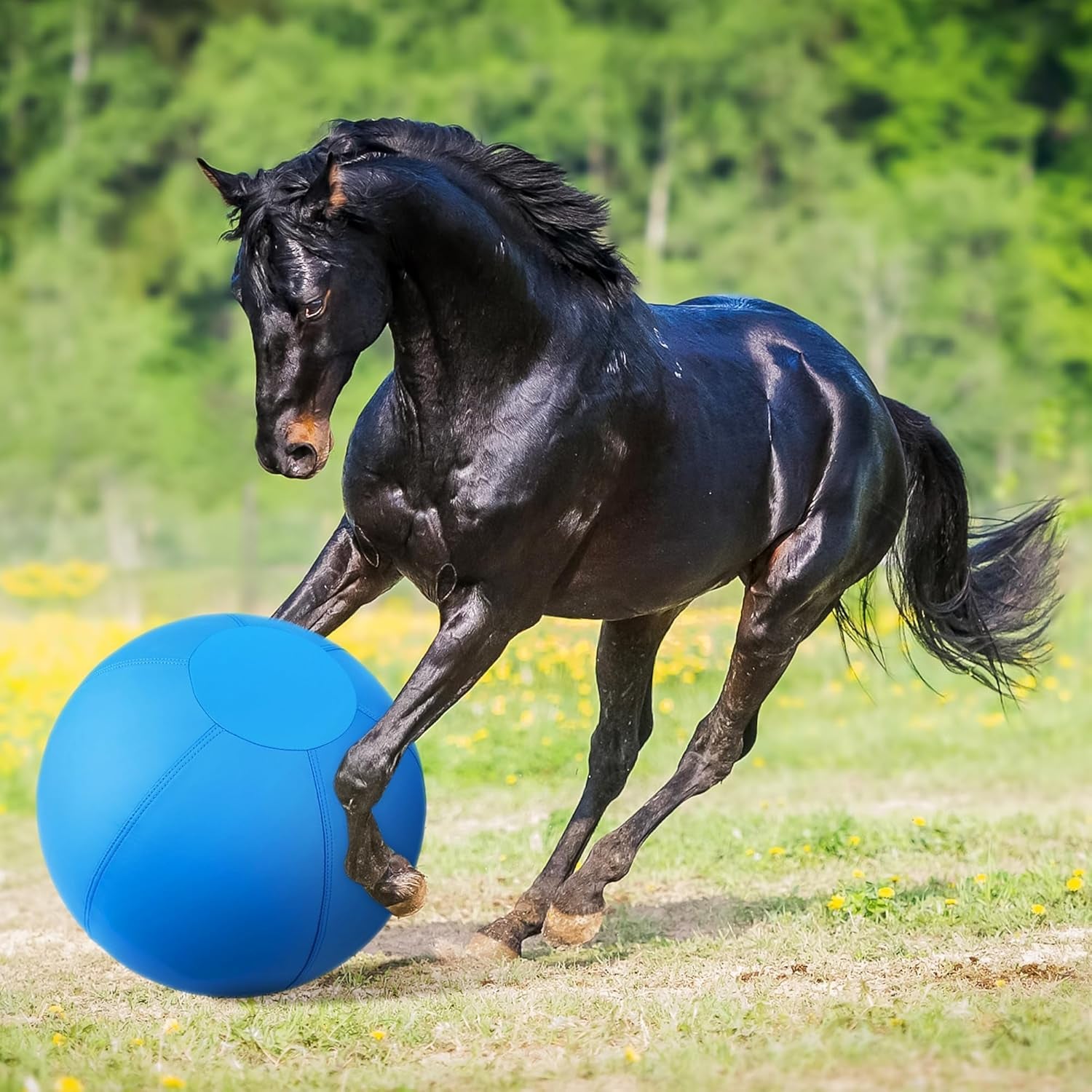 Herding Ball for Dogs and Horses - 18" Jolly Ball for Dogs, Agility Training Equipment, Herding Ball for Australian/German Shepherd, Improved Bite-Resistant - Blue Medium1216Fa