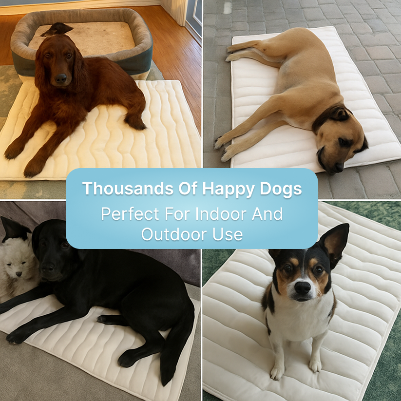 Dog Cooling Mat