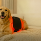Red light therapy pad