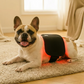 Red light therapy pad