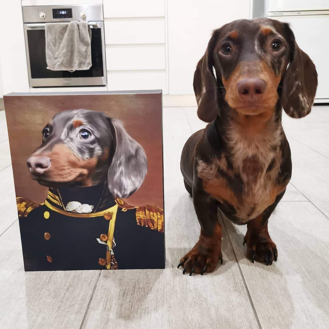 Custom Pet Canvas Portrait – Admiral Style + Free Mug